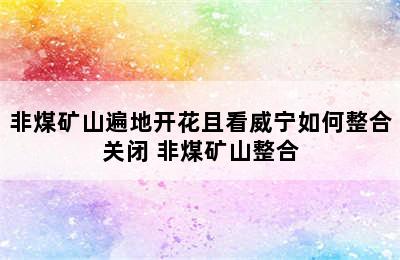 非煤矿山遍地开花且看威宁如何整合关闭 非煤矿山整合